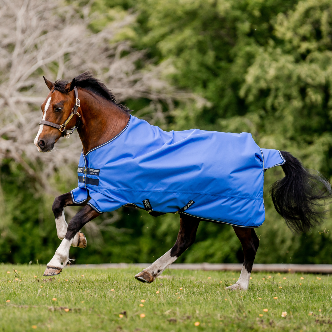 Horseware Ireland Amigo Hero Ripstop Lite 0g #colour_blue-navy-grey