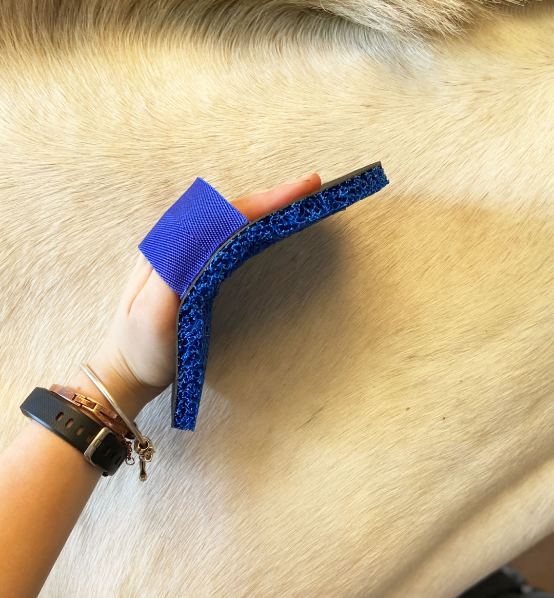 Smart Grooming Deluxe Super Groomer