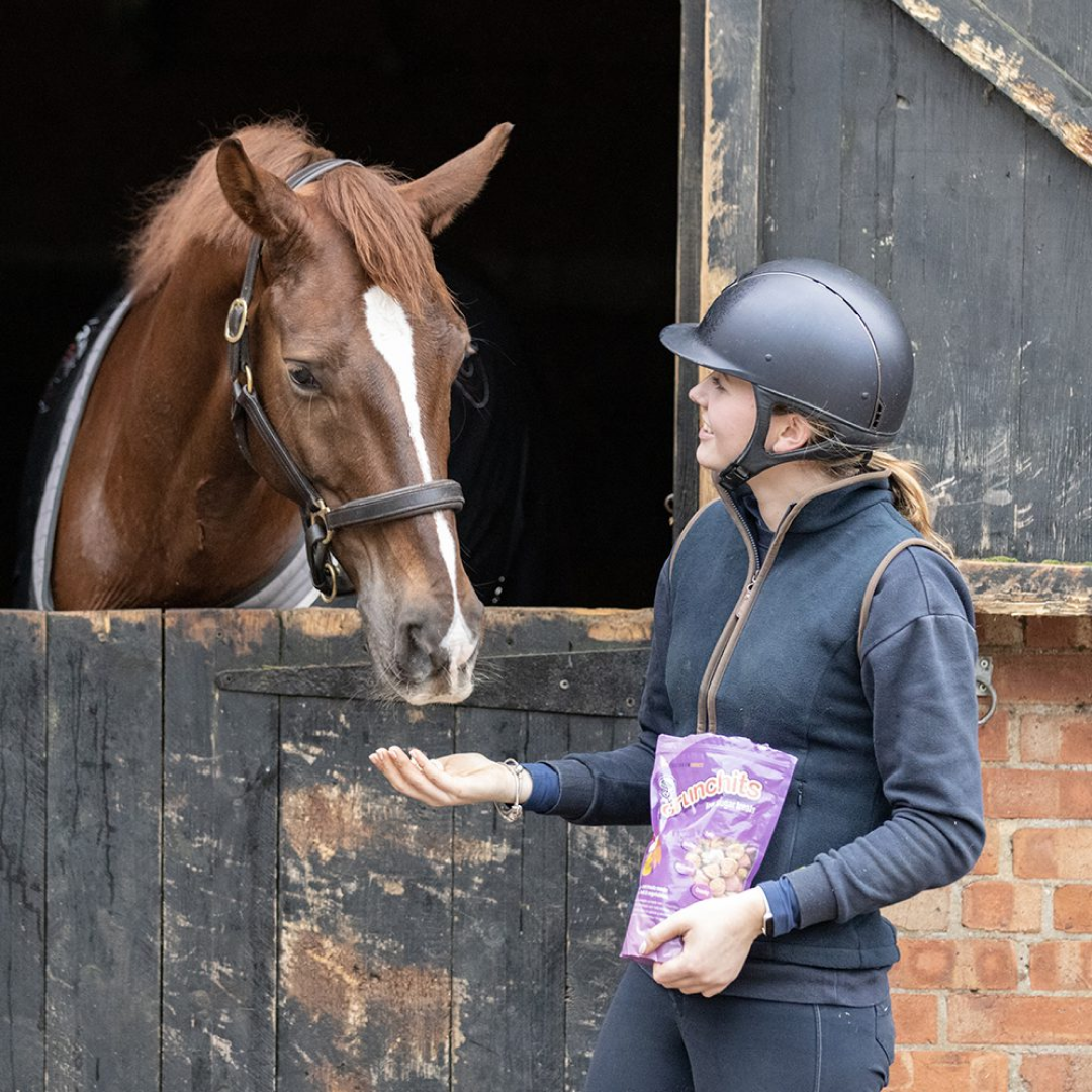 Equilibrium Crunchits