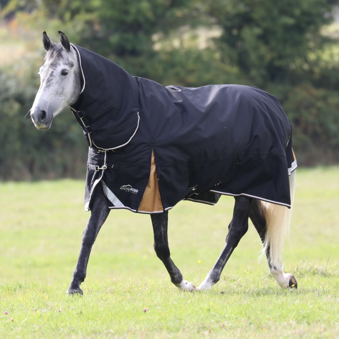 Shires Highlander Plus 200 Combo Turnout Rug #colour_black
