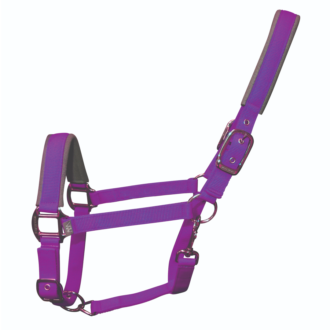 Woof Wear Colour Fusion Contour Headcollar #colour_ultra-violet