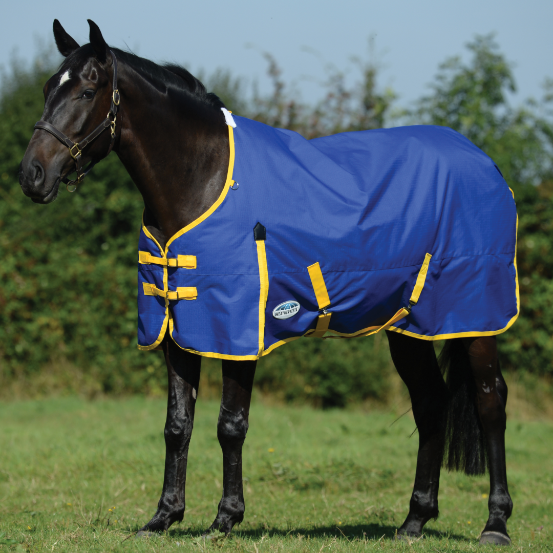 Weatherbeeta Comfitec Classic Standard Neck Lite Rug #colour_blue-lemon