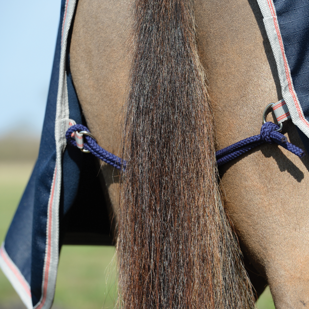 Weatherbeeta Fleece Lined Quater Sheet #colour_navy-silver-red