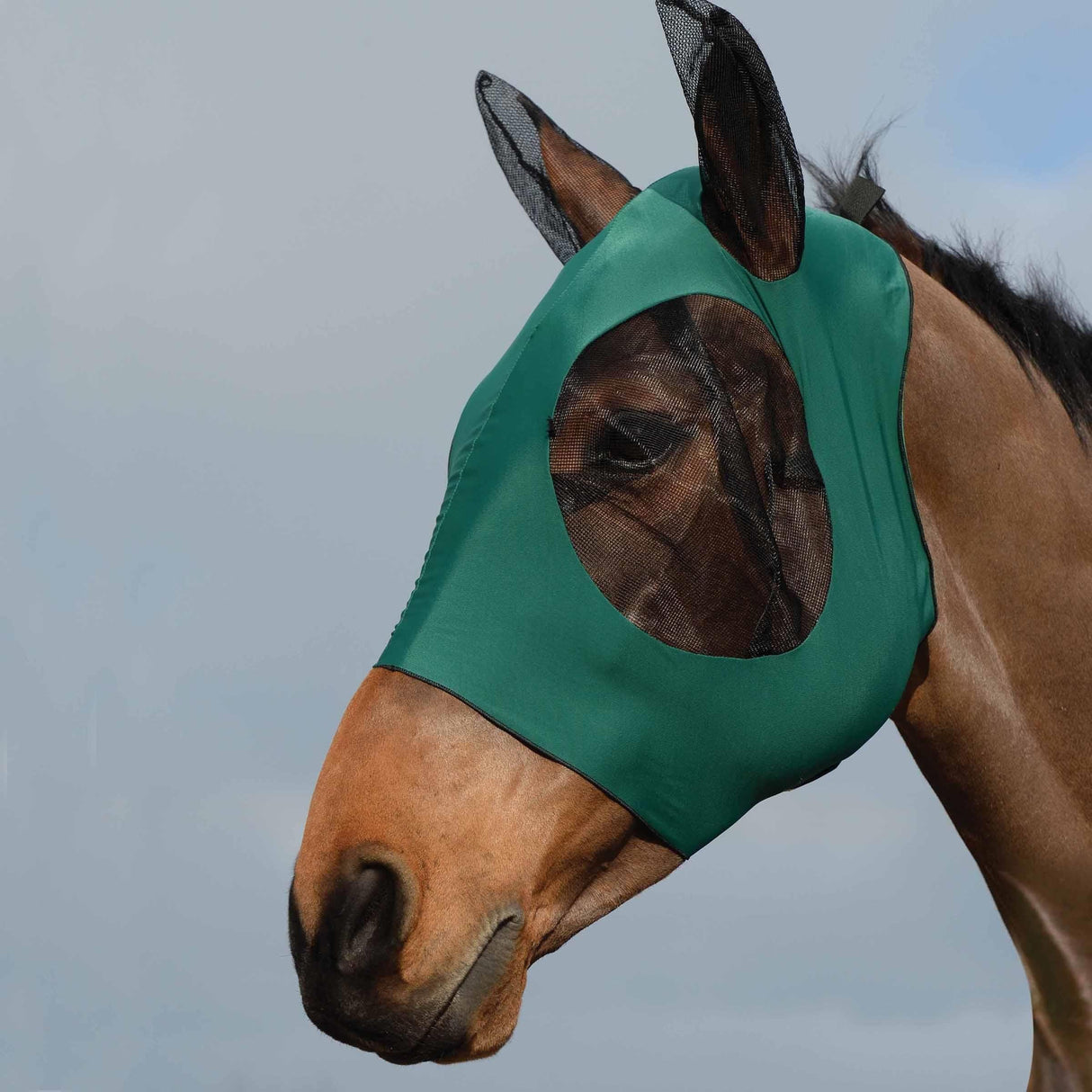 #colour_hunter-black