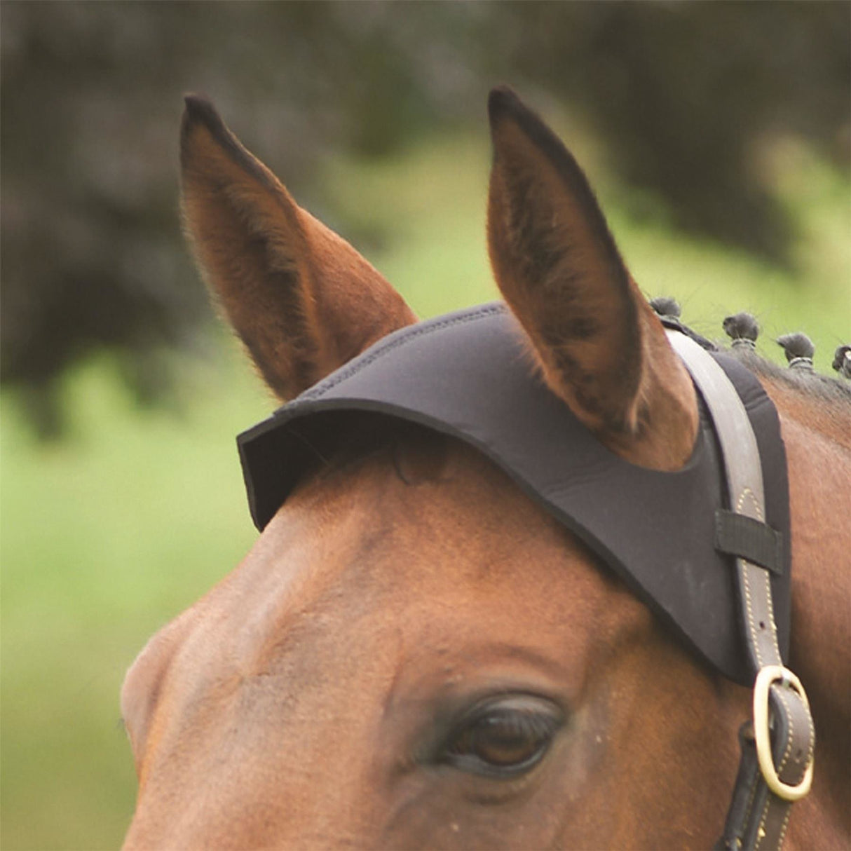 Hy Poll Guard - Black - Cob/Full