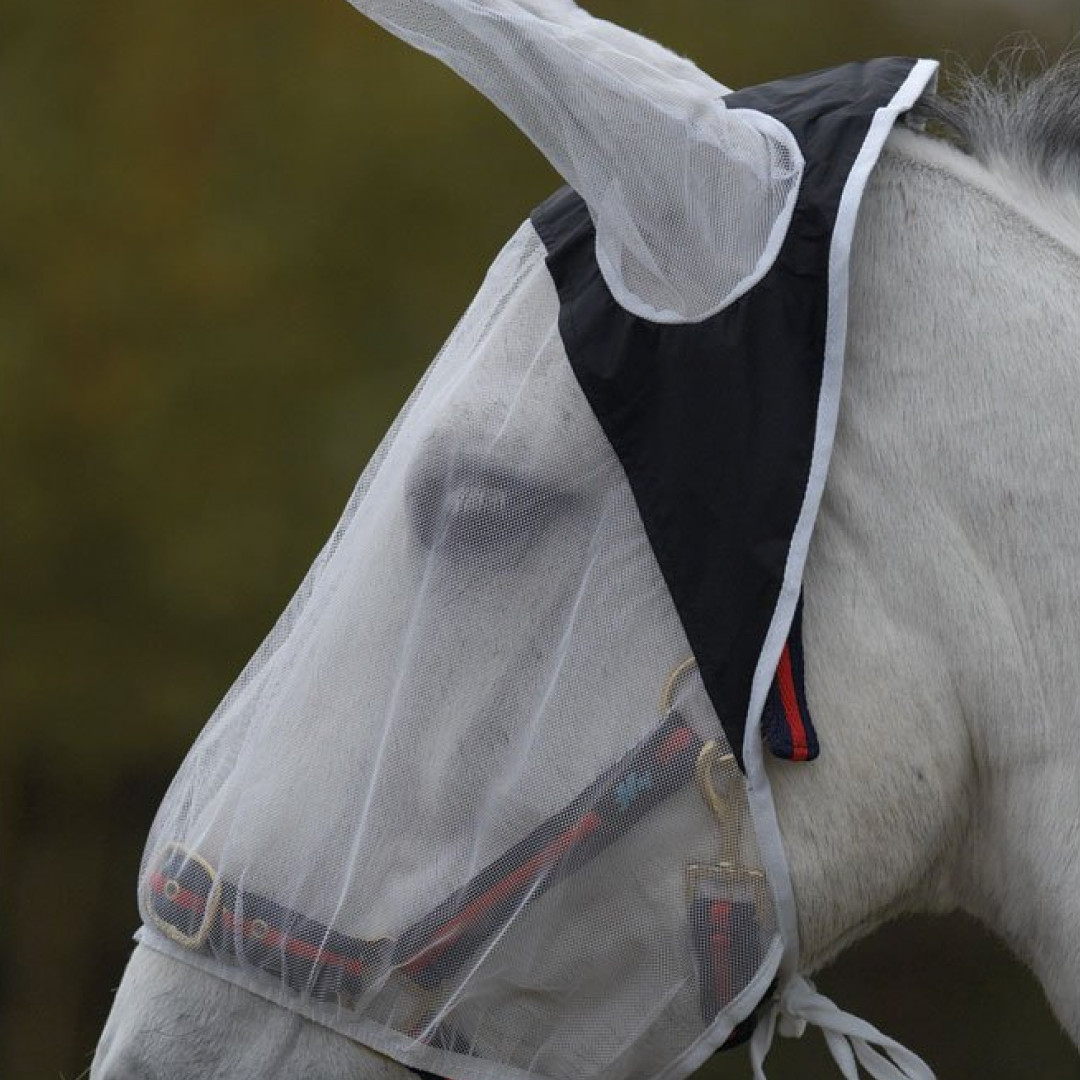 Hy Fly Eye & Ear Shield