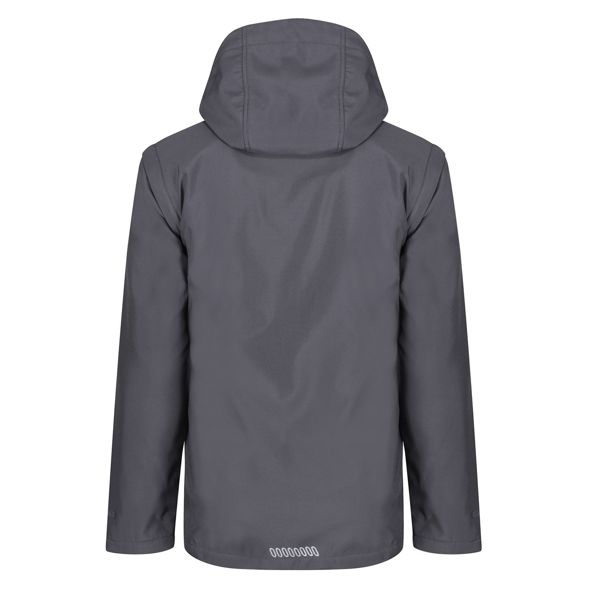 Regatta Professional Erasmus 4in1 Softshell Jacket #colour_grey