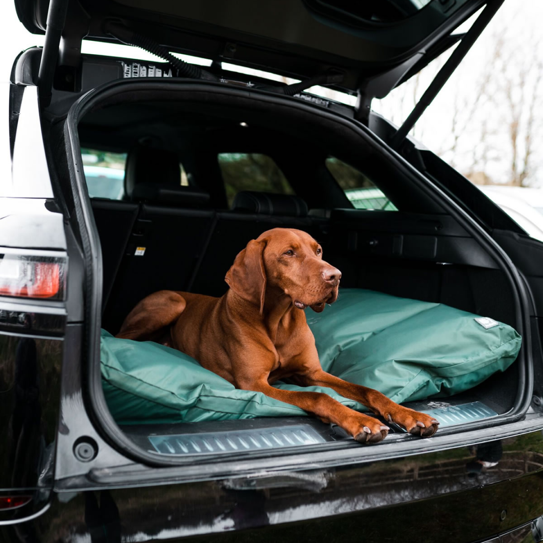 Danish Design County Deep Filled Duvet #colour_green