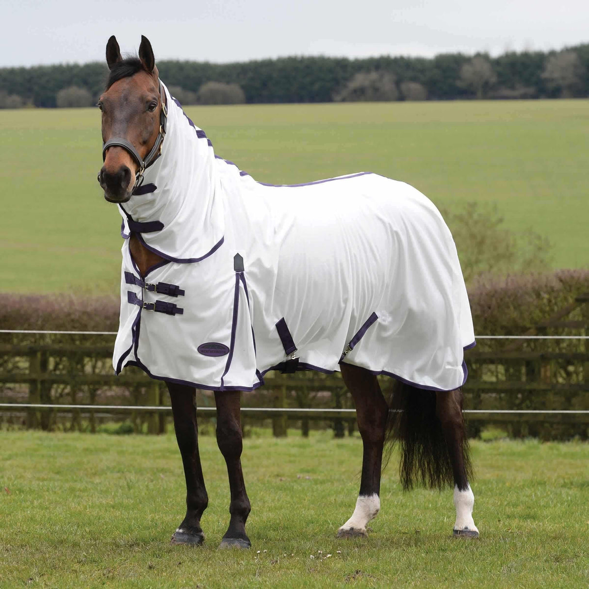 WeatherBeeta ComFiTec Essential Mesh II Combo Neck Fly Rug #colour_white-purple-black