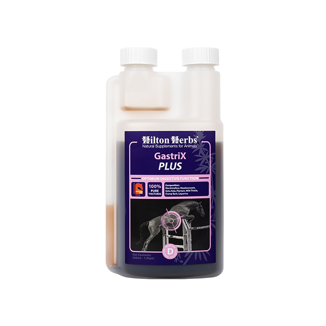 Hilton Herbs Gastrix Plus