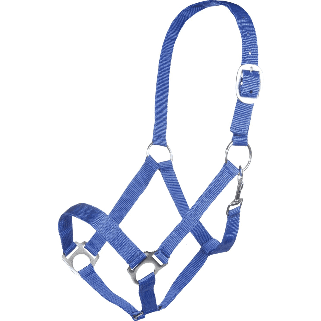 HKM Innsbruck Head Collar #colour_royal-blue