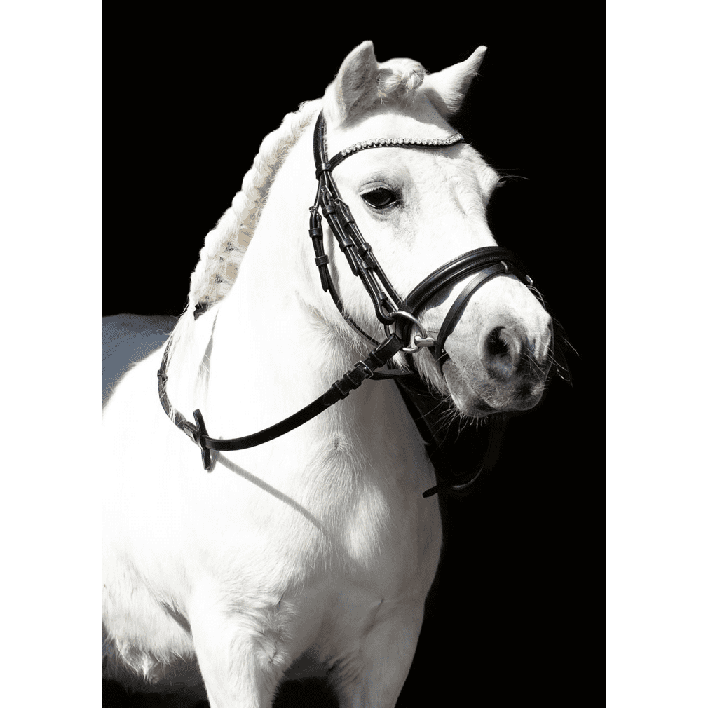 HKM Shetty Diamond Bridle