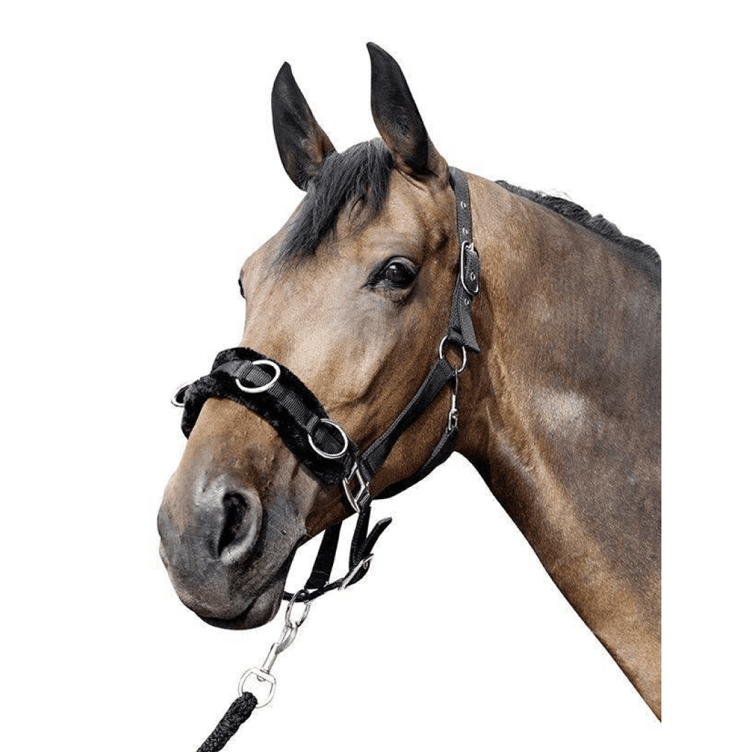 HKM Lunge Cavesson With Plush Padding #colour_black