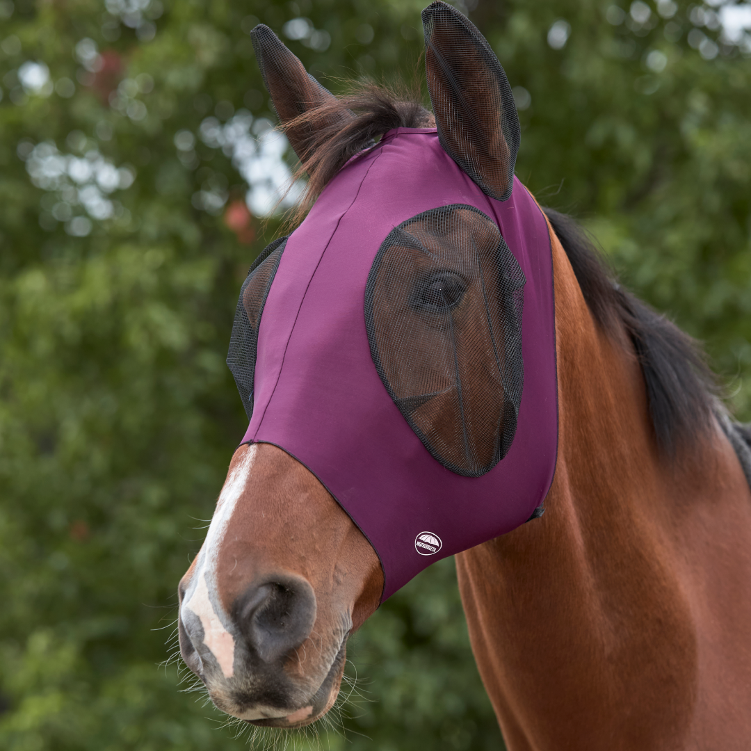 #colour_purple-black