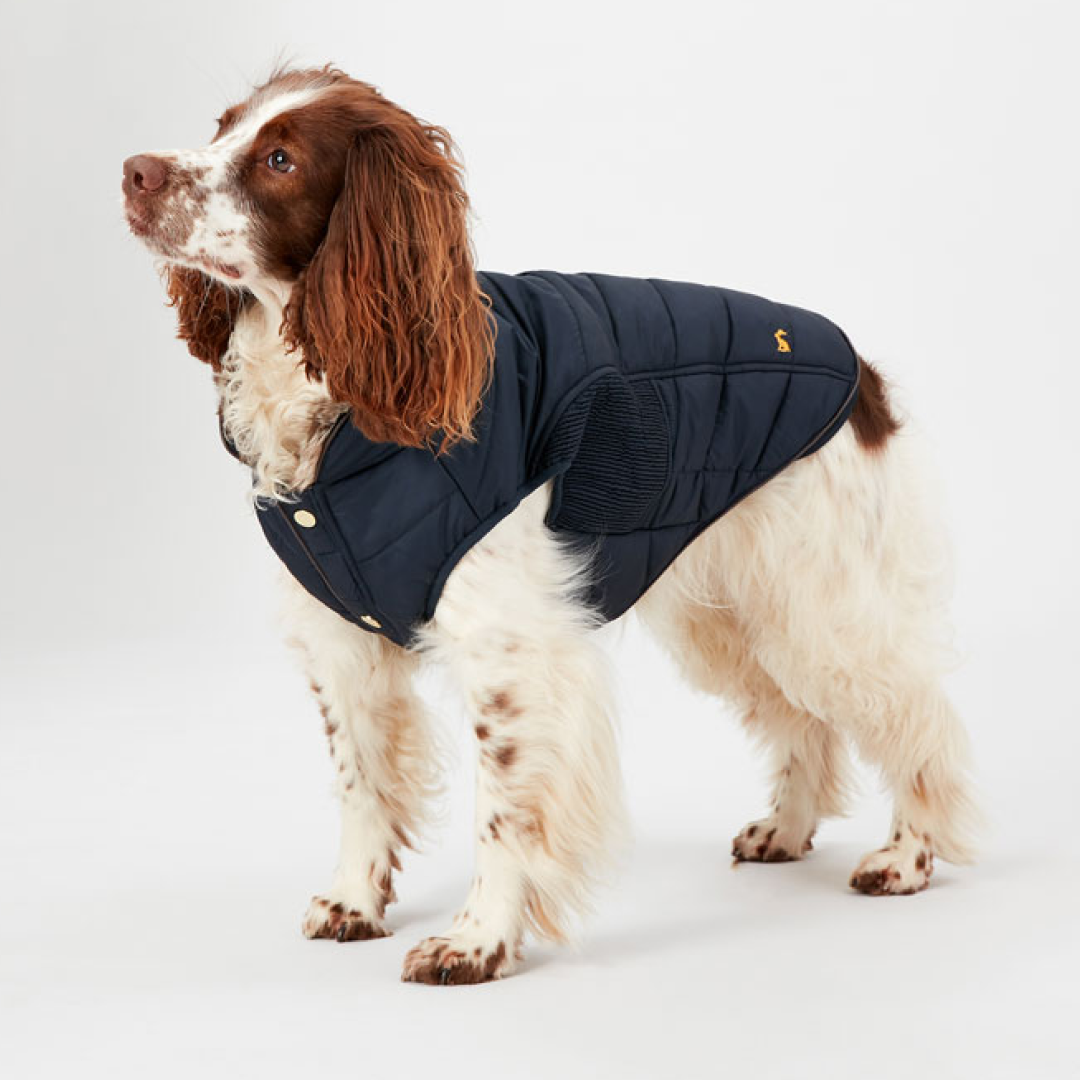 Joules Cherington Dog Coat