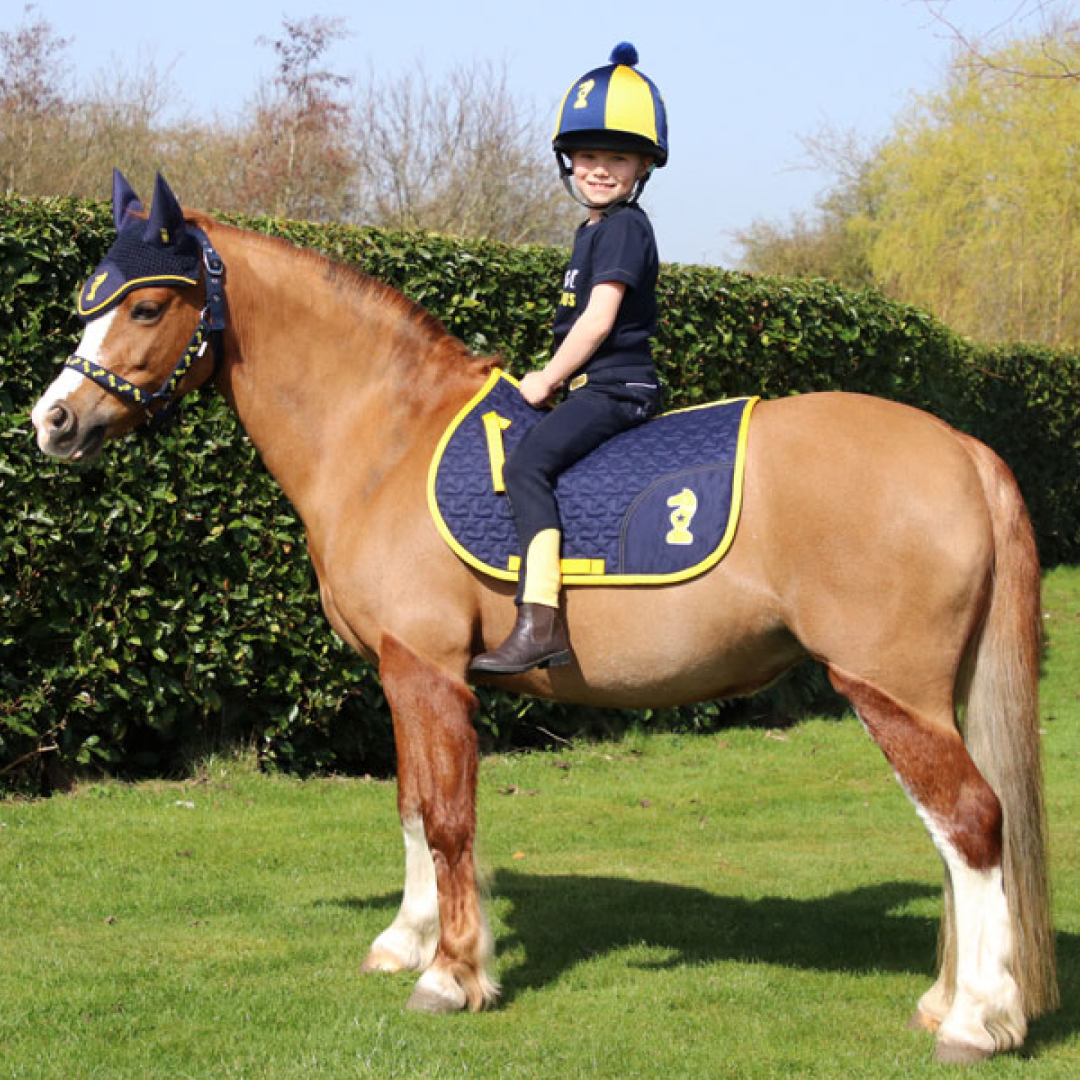 Little Knight Lancelot Saddle Pad