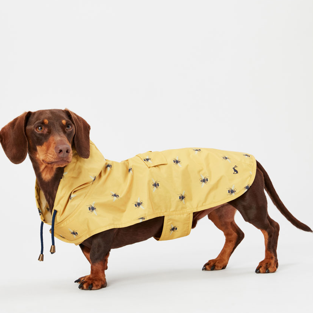 Joules GoLightly Packaway Jacket