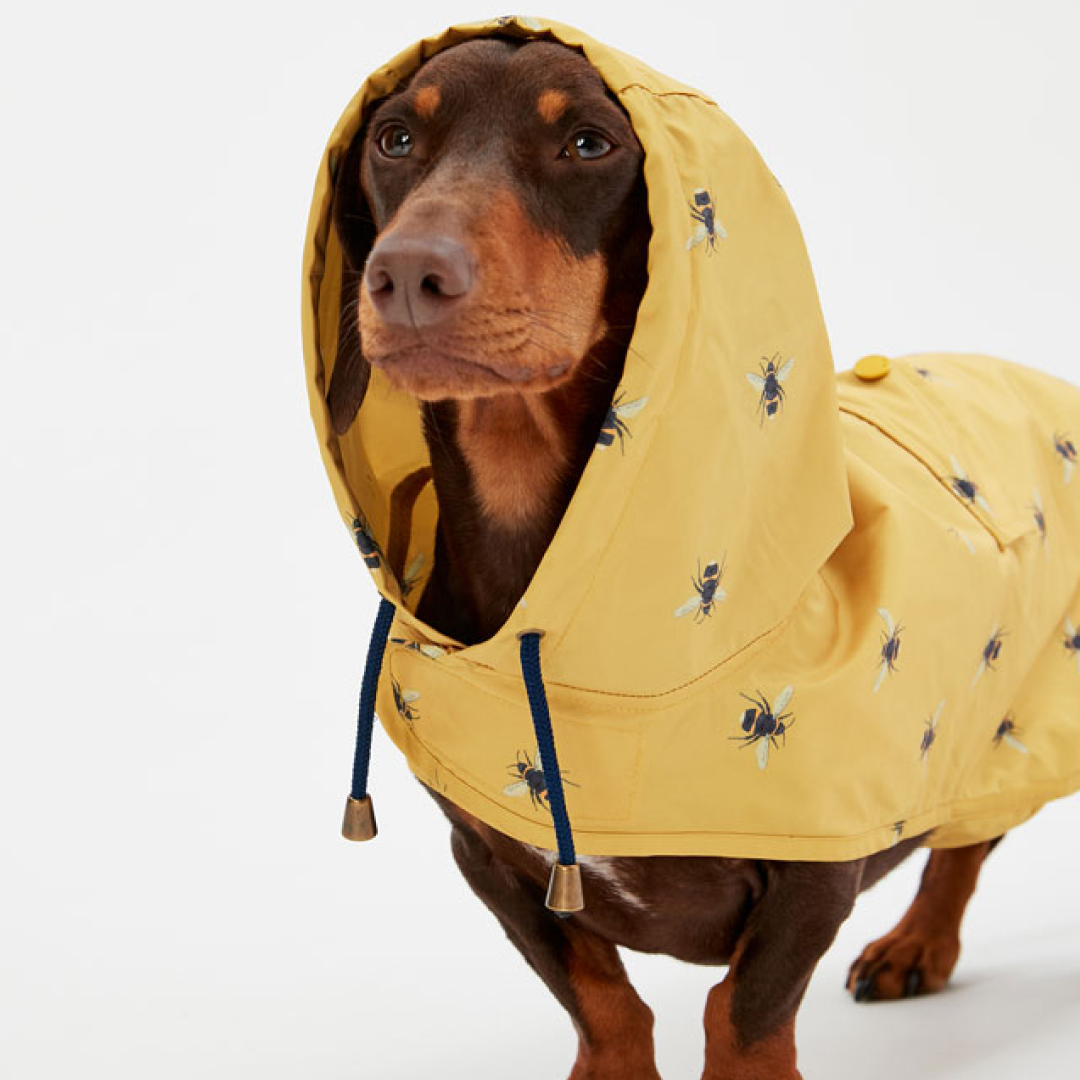 Joules GoLightly Packaway Jacket