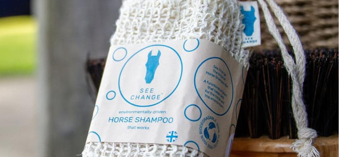 Green Choices: Celebrate World Environment Day!