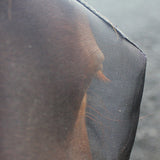 Woof Wear UV Fly Mask with Ears #colour_black-turquoise