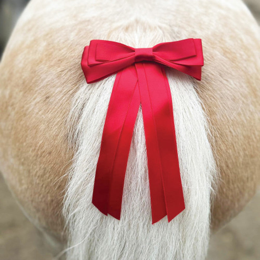 Equetech Horse Competition Warning Tail Ribbon #colour_red