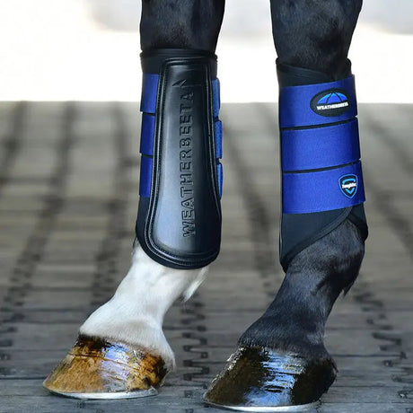 Weatherbeeta Tough-Tec Prime Brushing Boots #colour_black-royal-blue