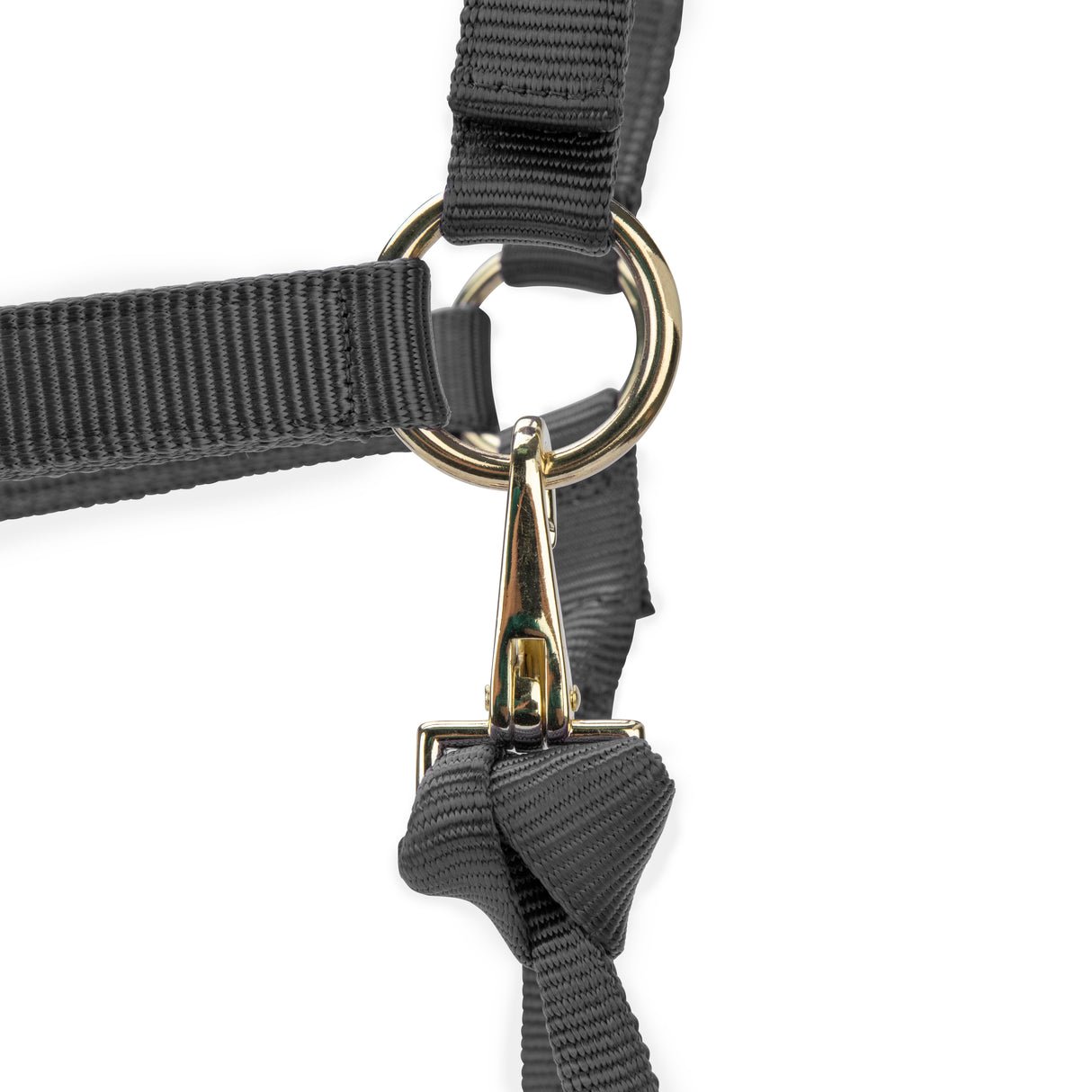 Shires ARMA Premium Adjustable Headcollar #colour_grey