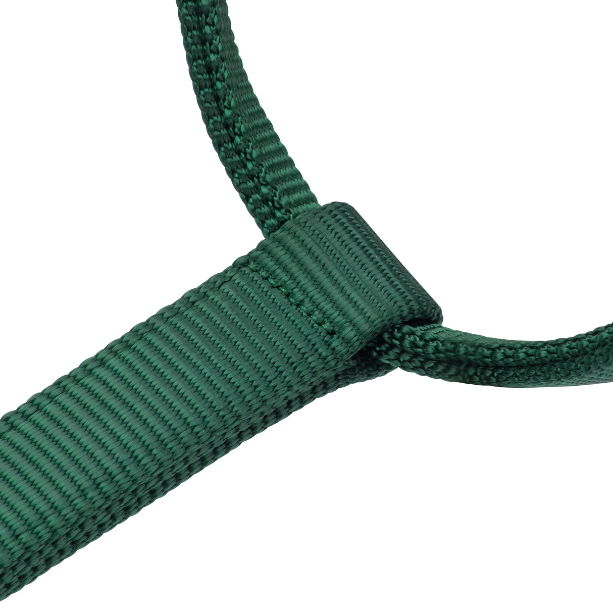 Shires ARMA Premium Adjustable Headcollar #colour_hunter
