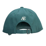 Shires Aubrion Equestrian Cap #colour_thyme