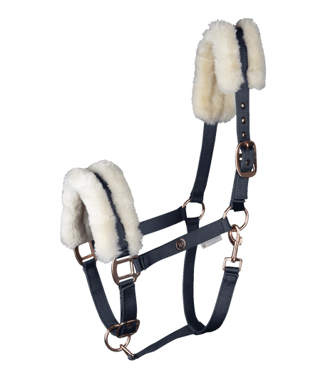 Waldhausen Modern Rose Halter #colour_night-blue-rose-gold
