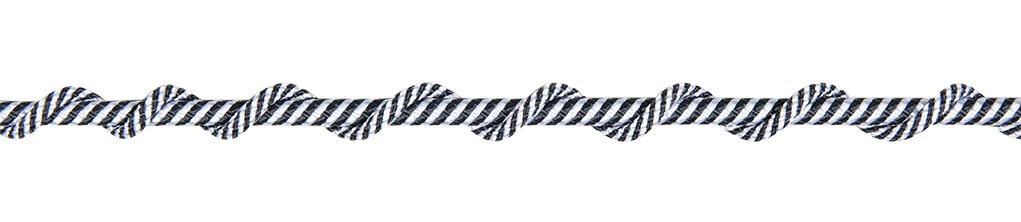 HKM Lunge Whip