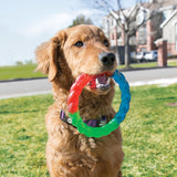 KONG Twistz Ring #size_s