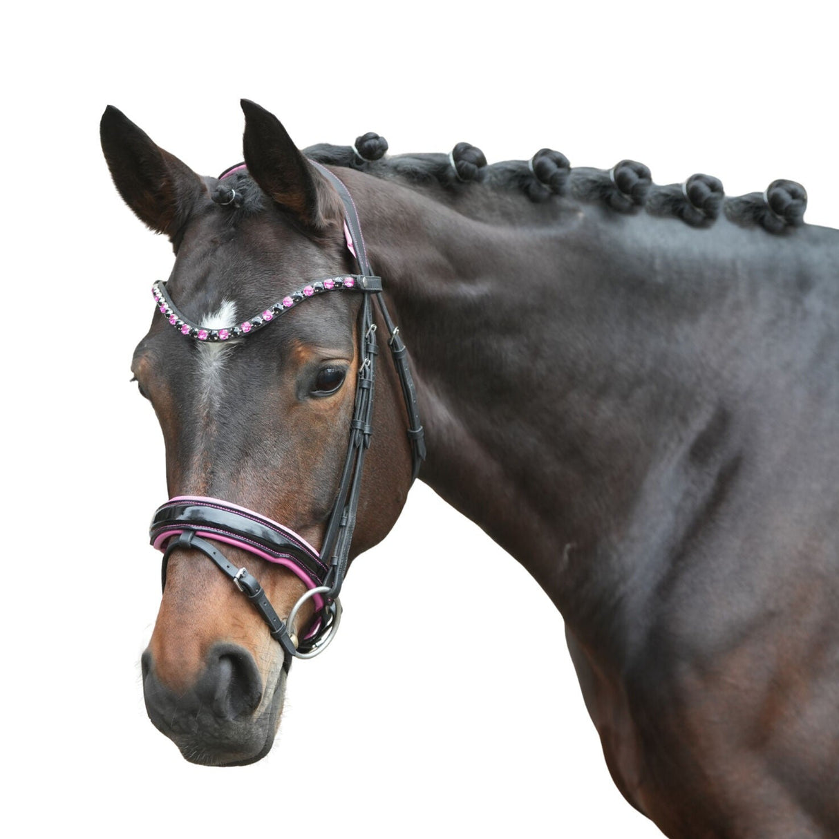 HKM Bridle -Manchester- #colour_black-pink