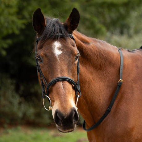 Hy Equestrian Leather Neck Strap #colour_black