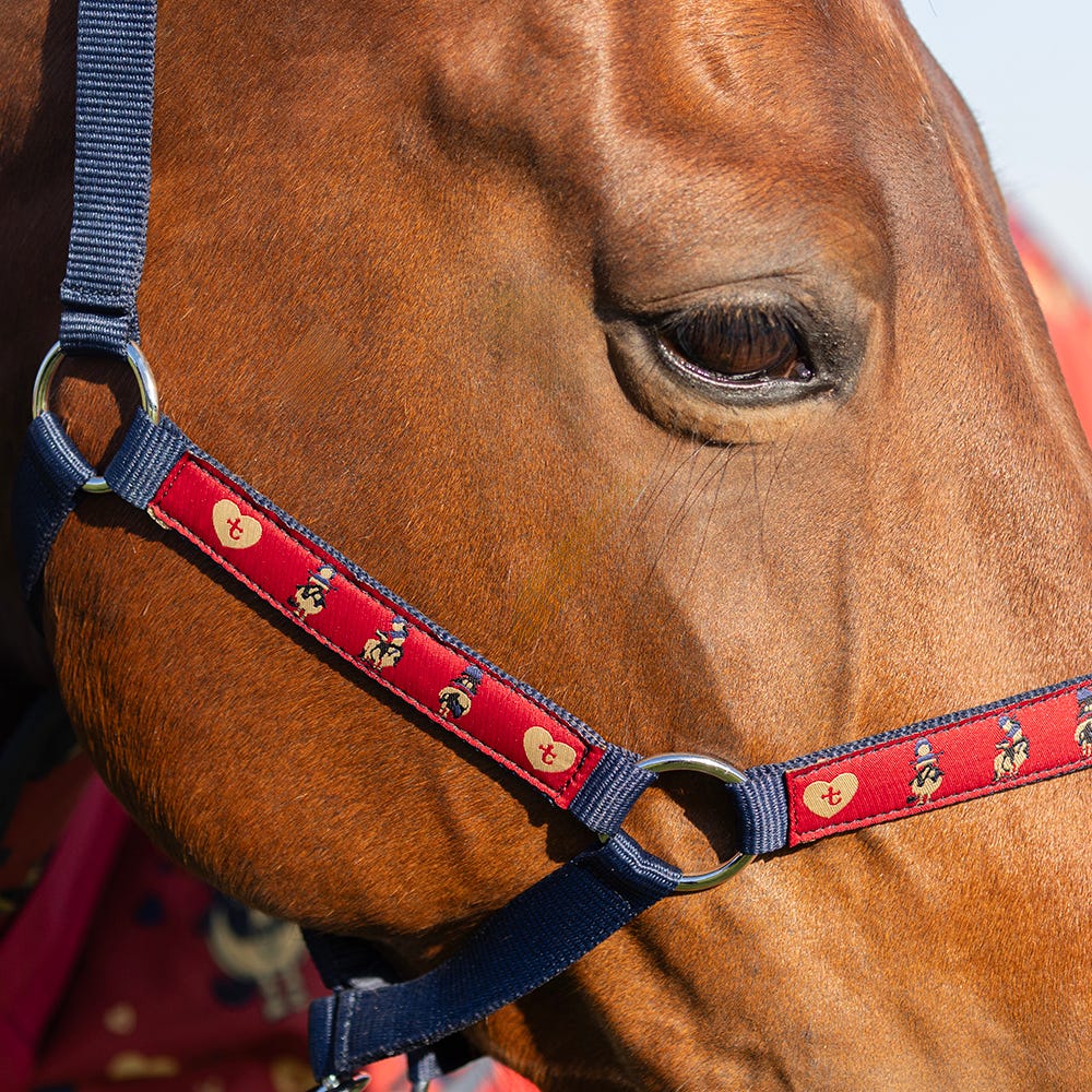 Hy Equestrian Thelwell Collection Balancing Act Head Collar & Lead Rope #colour_red-navy