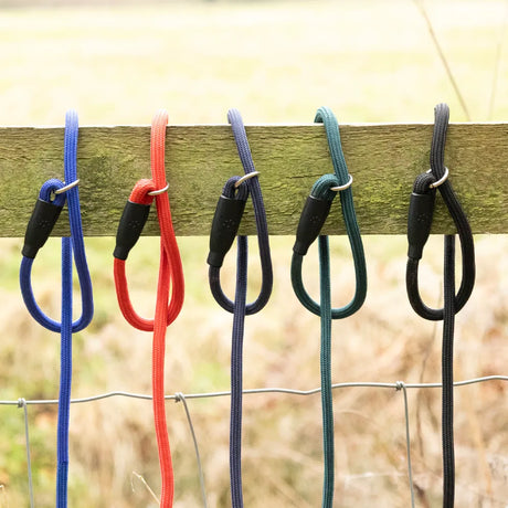Benji & Flo Classic Slip Lead 