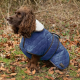 Benji & Flo Teddy Quilted Dog Coat [Navy/Chocolate] [3XS]