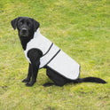 Benji & Flo Silva Reflective Dog Coat [Silver/Black] [3XS]