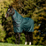 Horseware Ireland Amigo Ripstop 900 Plus 0g #colour_dynasty-green-navy-silver