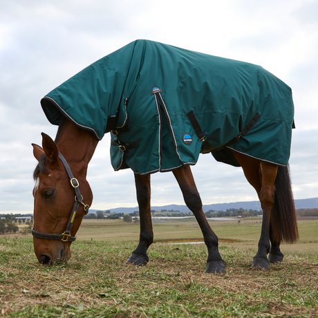 Weatherbeeta Comfitec Classic 360G Combo Turnout #colour_forest-green-black