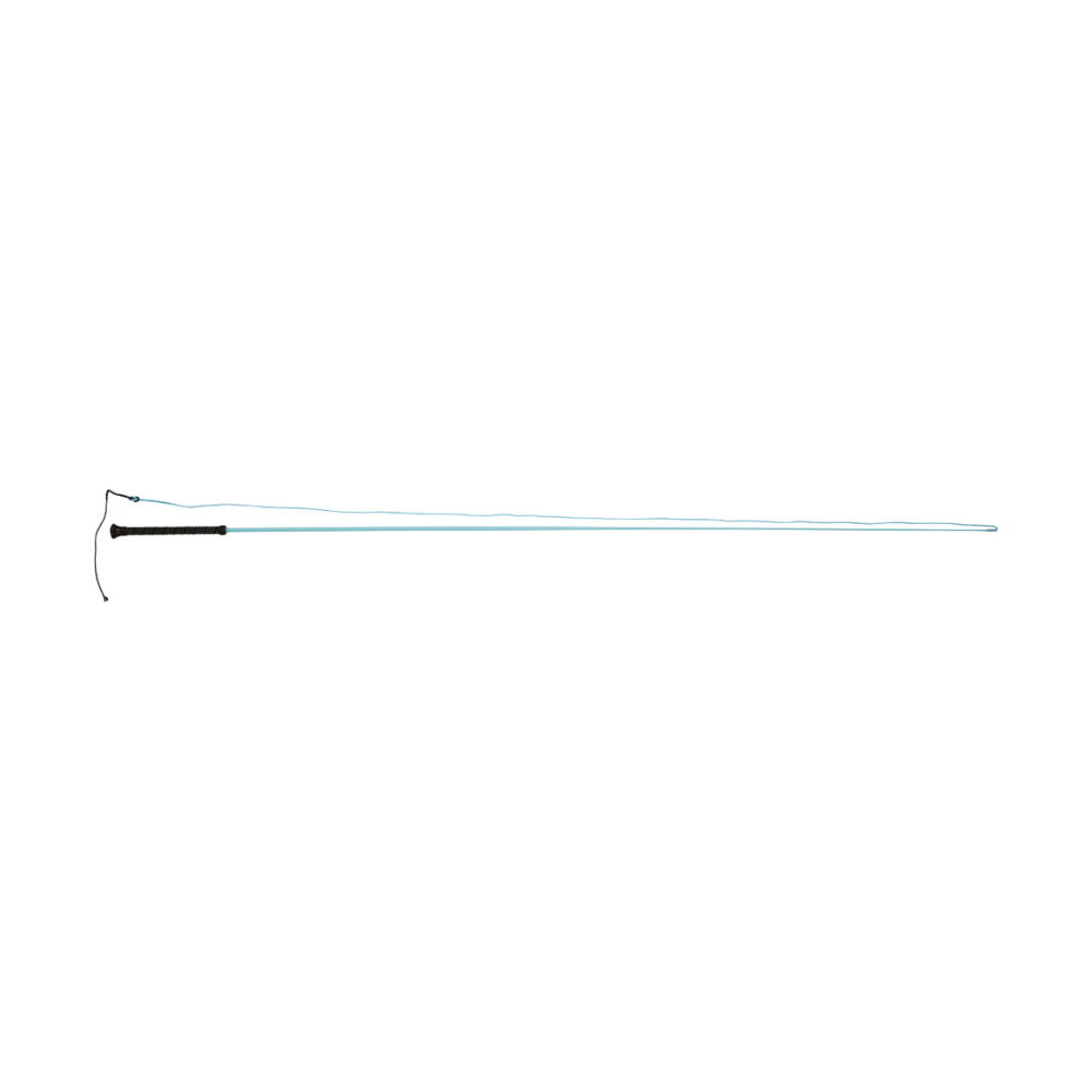Dublin Brights Lunge Whip #colour_aqua