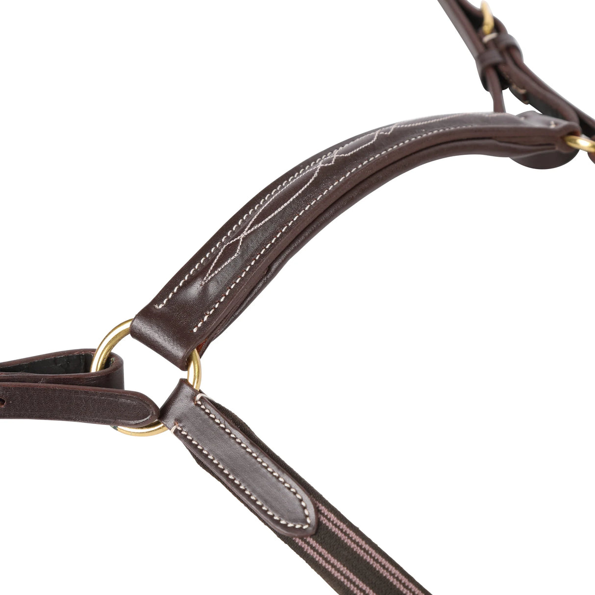 #colour_australian-nut