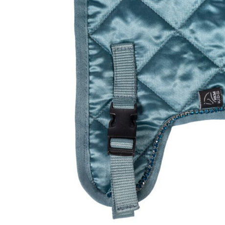 HKM Rug -Hobby Horsing Premium- #colour_turquoise