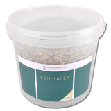 Waldhausen Echinacea