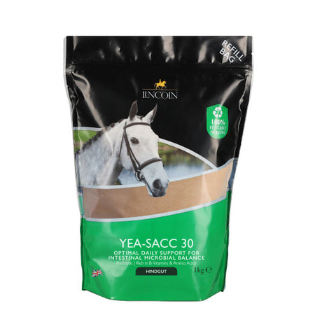 Lincoln Yea-Sacc 30