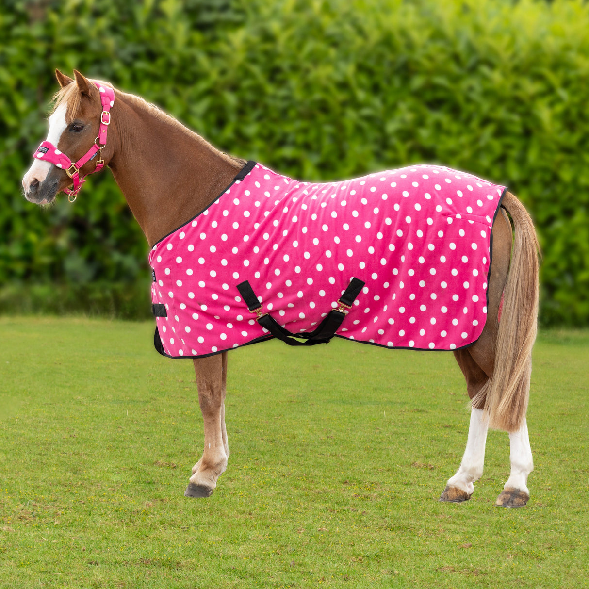 Supreme Products Dotty Fleece Rug #colour_paradise-pink