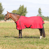 HyCONIC 200g Turnout Rug #colour_red
