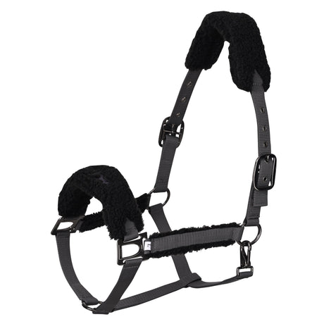 HV Polo Teddy Headcollar #colour_cloud-grey