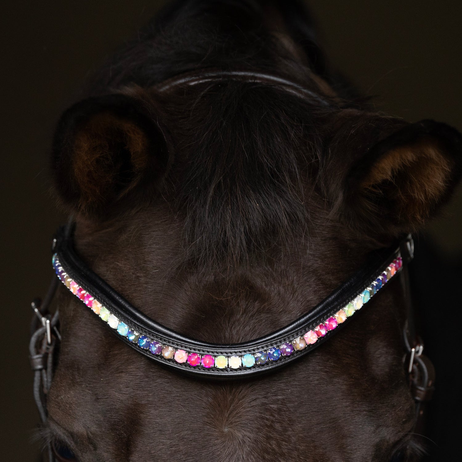 ProPresicce Signature Curved Diamante Browband by Hy Equestrian #colour_black-with-rainbow-diamantes