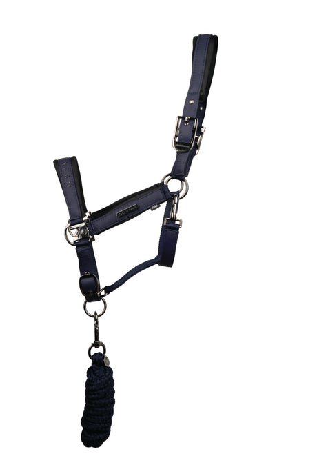 Coldstream Paxton Padded Head Collar & Lead Rope